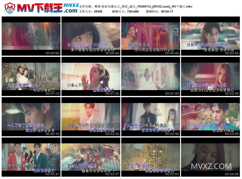 傅菁-何必为难自己_国语_流行_YE500113